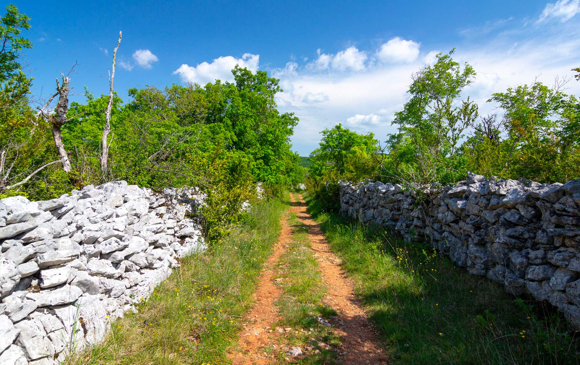 Chemin-du-causse-©-Cyril-Novello-180506-162659-optimisee